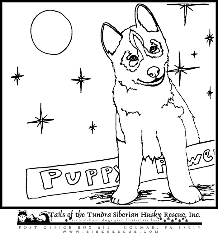 Siberian Husky Puppies Coloring Pages