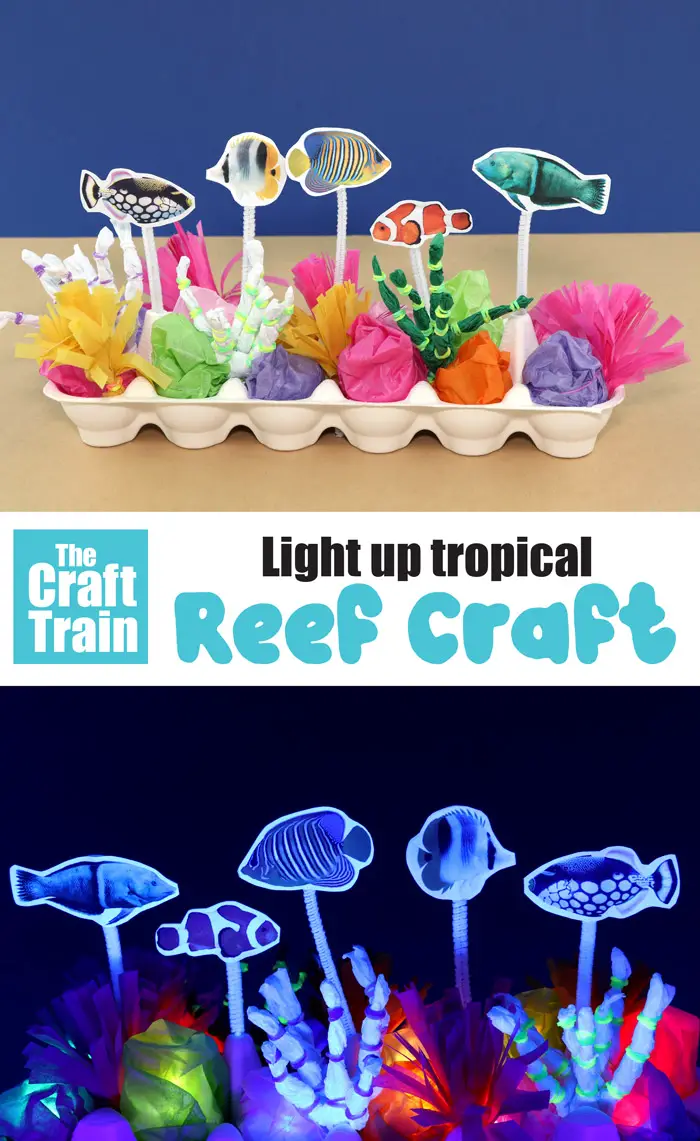 Tropical Reef Egg Carton