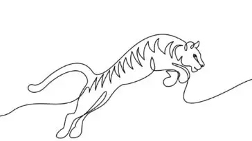 simple tiger drawing