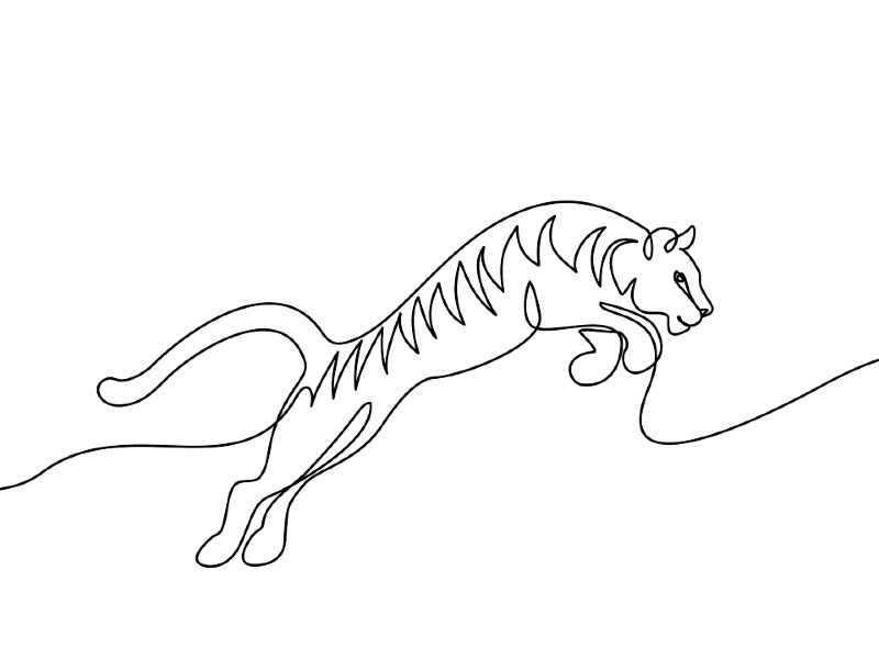 simple tiger drawing