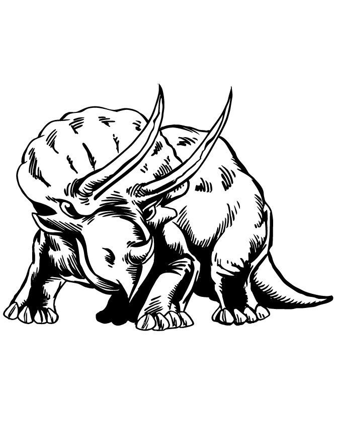Ferocious Triceratops