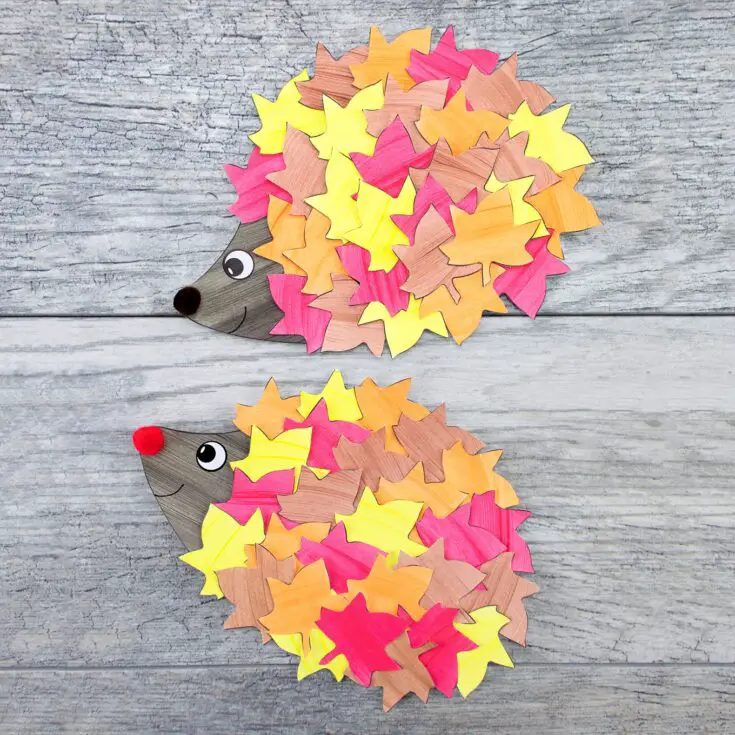 Leaf Hedgehog