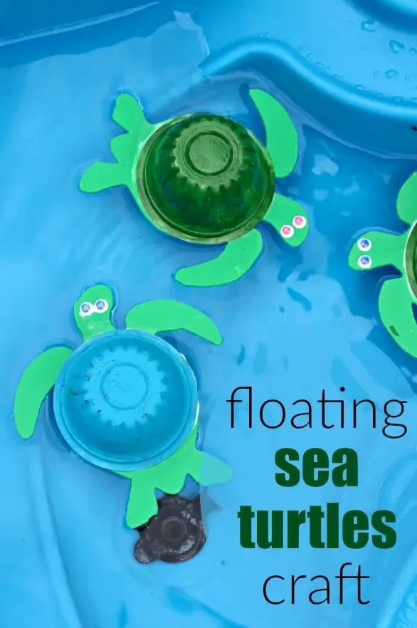 Floating Turtle