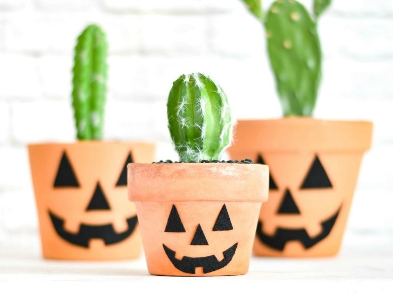 Halloween Flower Pots