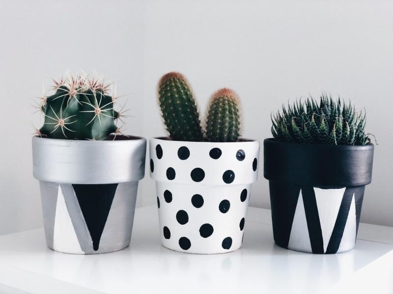 Black and White Terra Cotta Pots