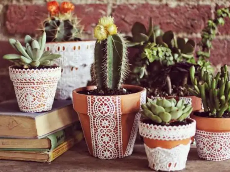 Boho Pots