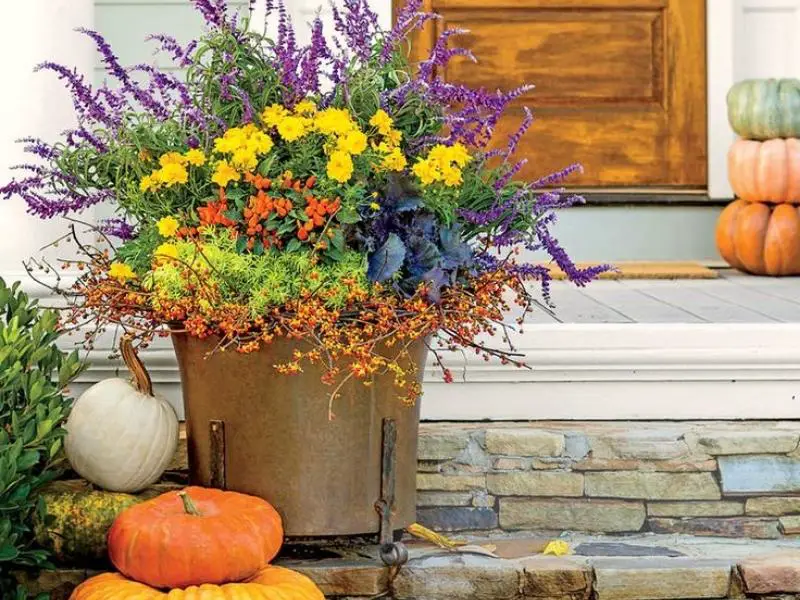 Fall Flower Pots