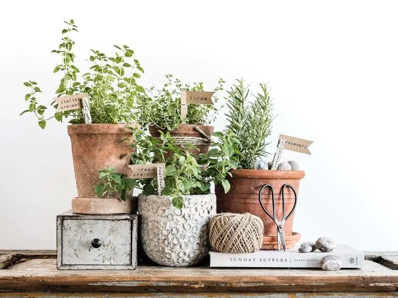 Gardening Elements Inspiration for Terra Cotta Pots