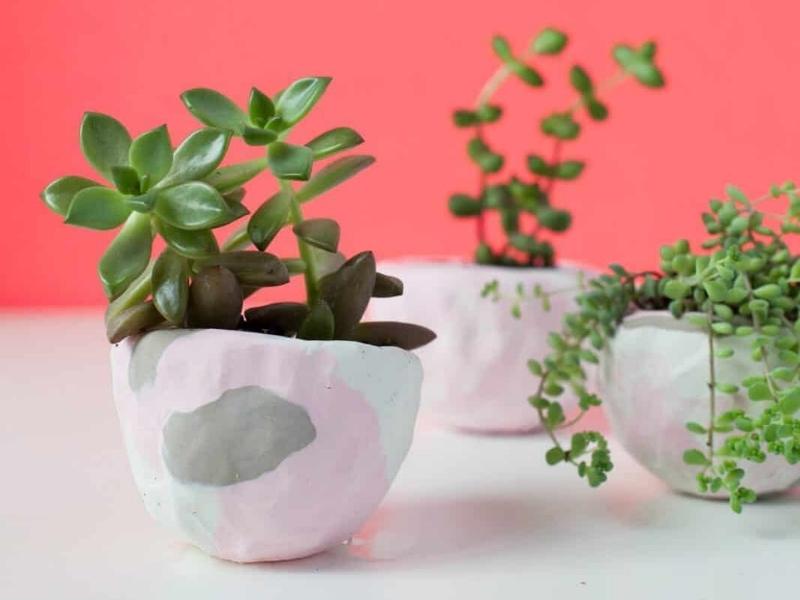 DIY Mini Pinch Pot Planters