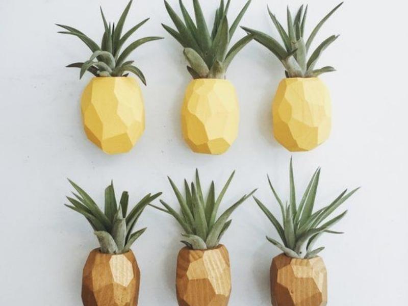 Magnetic Pineapple Planters