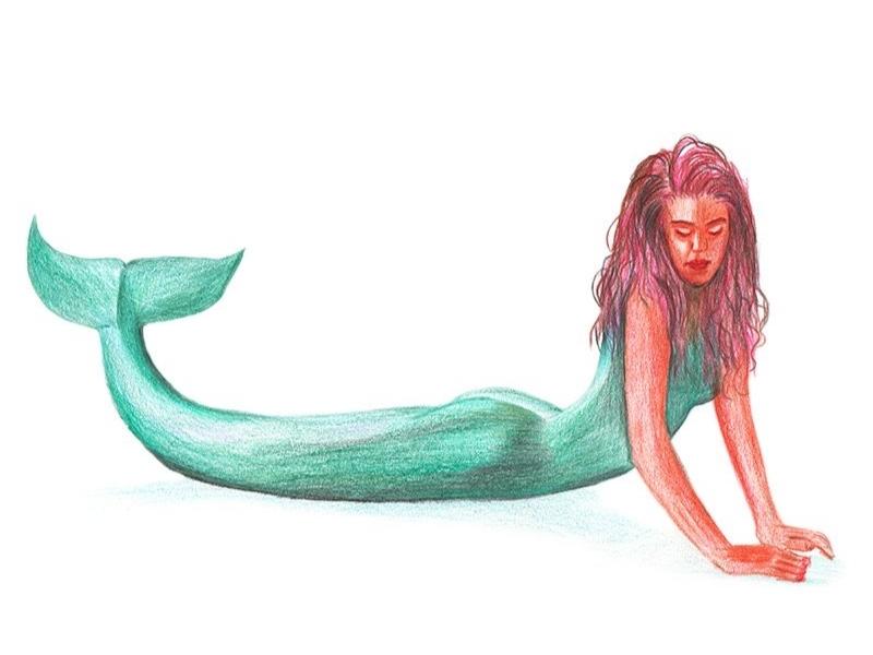 Pencil-Colored Mermaid