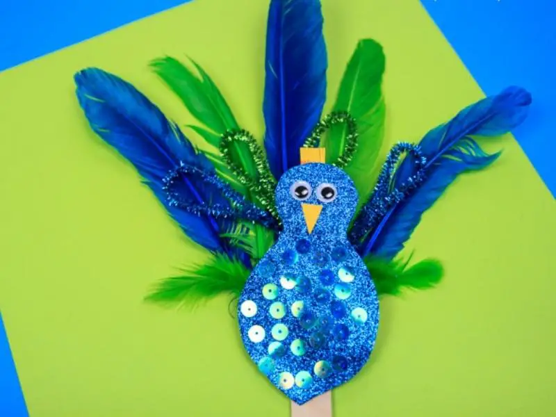 Pipecleaner Feather Peacock Craft