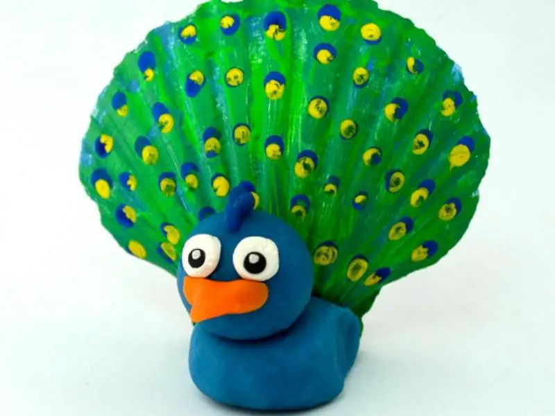 Seashell Peacock