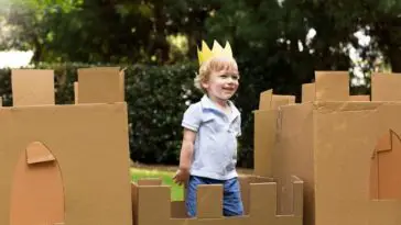 Cardboard Box Fort Ideas