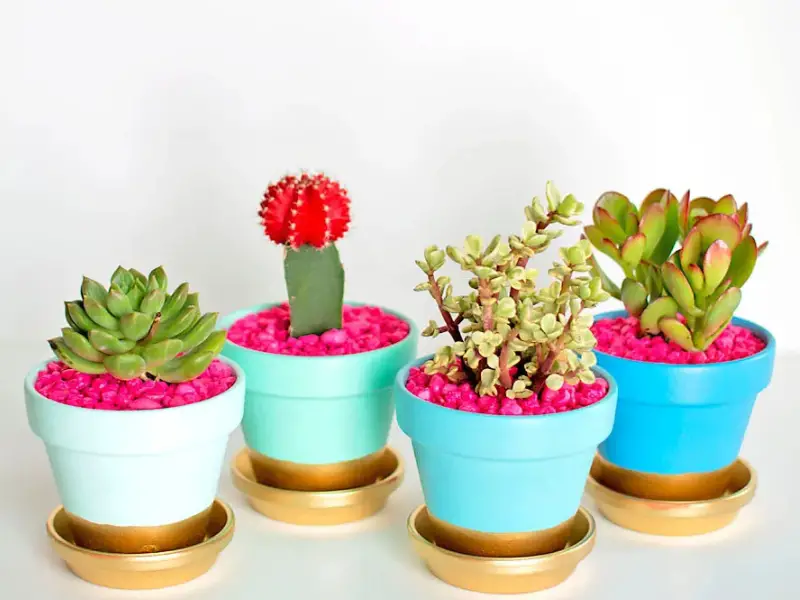 DIY Gold-Dipped Plant Pots