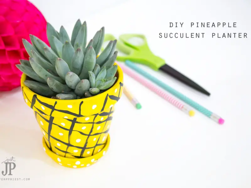 DIY Succulent Pineapple Planter