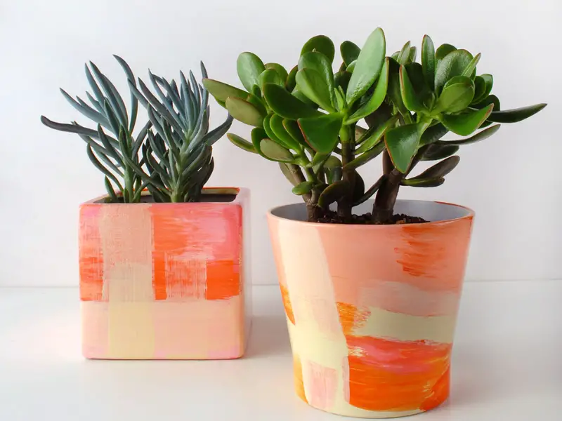 Designer Pots