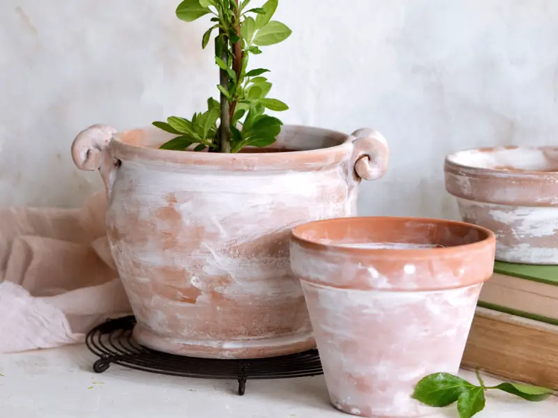 Distressed French Pots