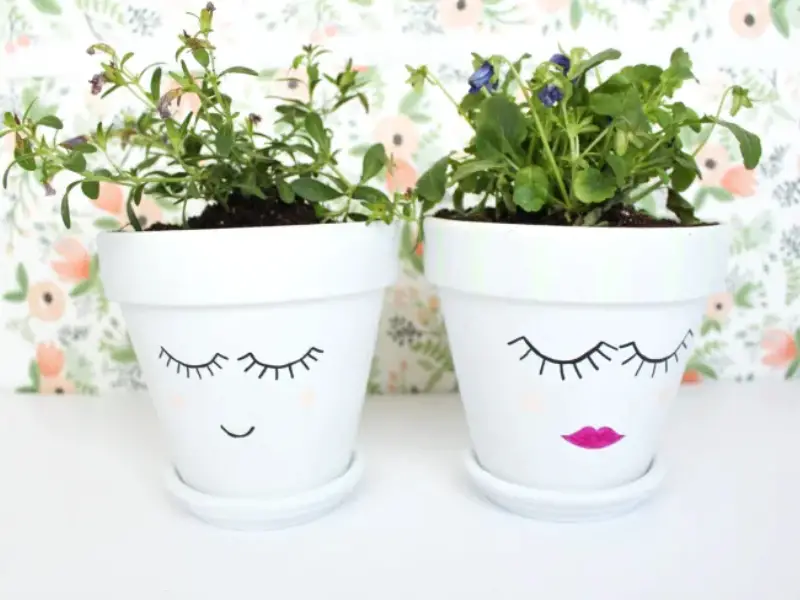 Face Plant Pots