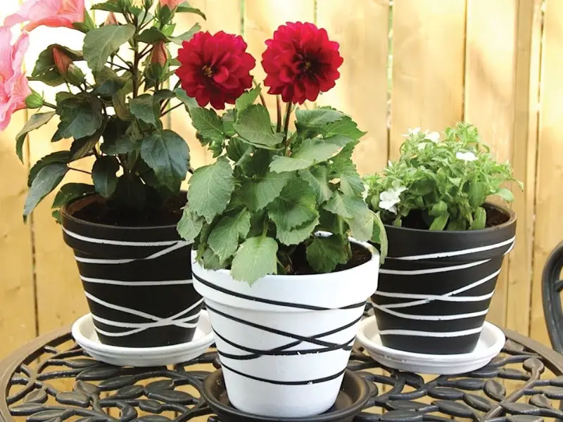 Rubber Band Pots