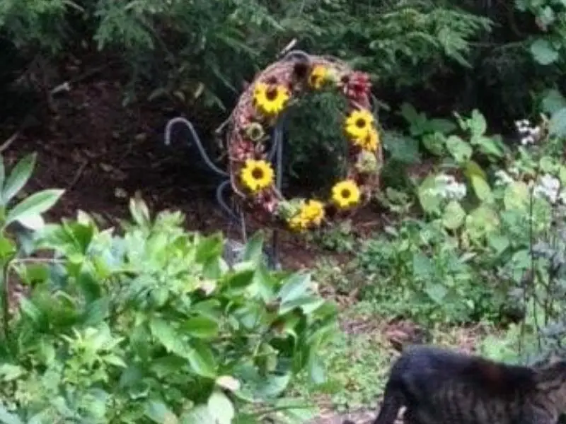 Sunflower Wreath