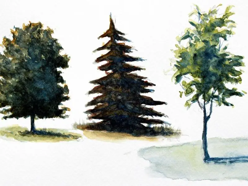 Watercolor Tree Painting