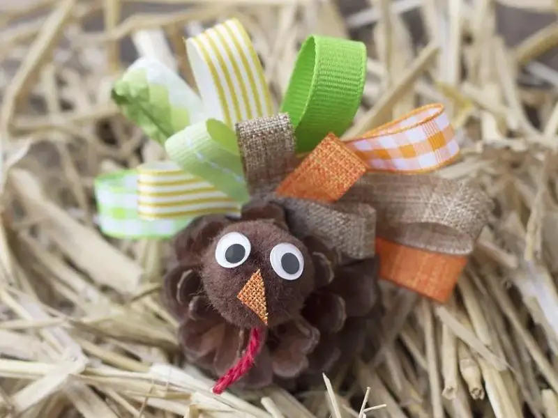 Pinecone Turkey